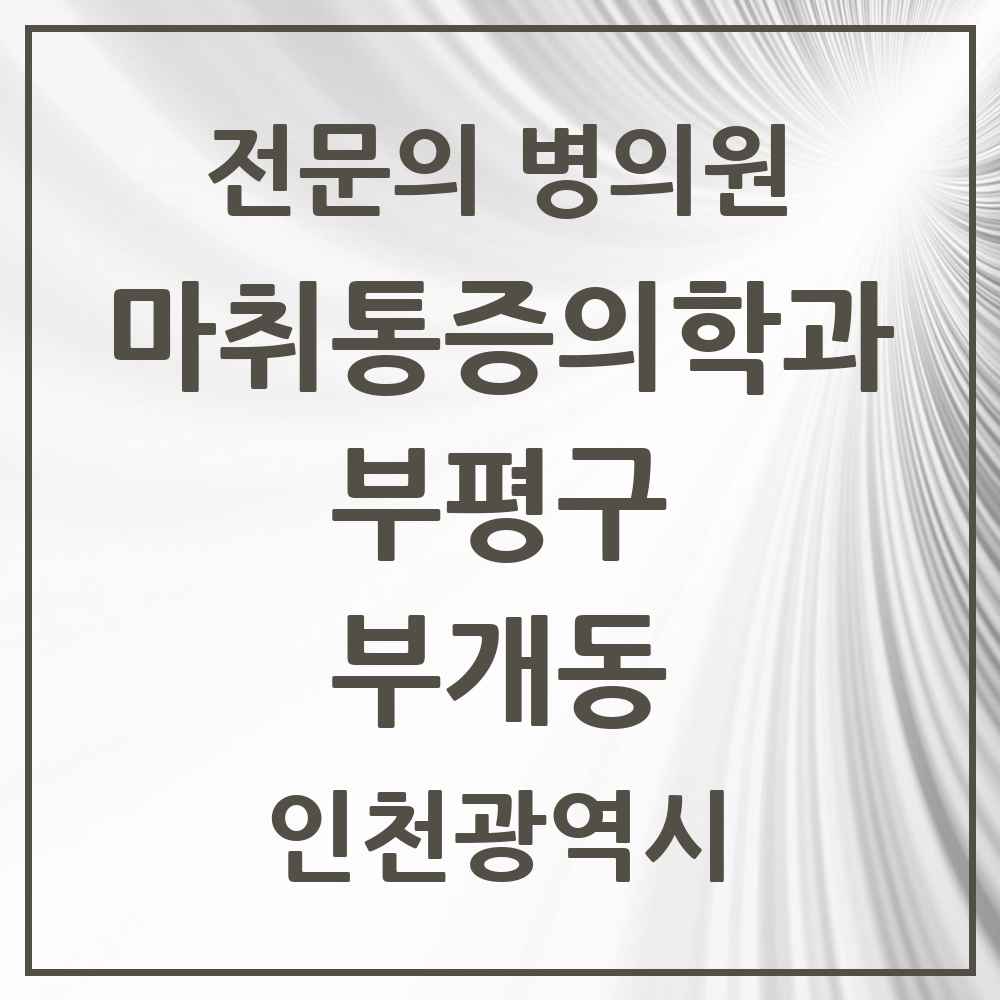2025 인천광역시 부평구 부개동 마취통증의학과 전문의 의원·병원 목록 1곳