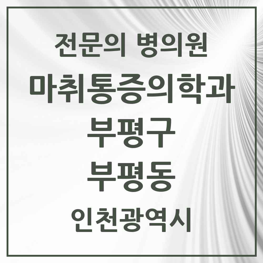 2025 인천광역시 부평구 부평동 마취통증의학과 전문의 의원·병원 목록 12곳