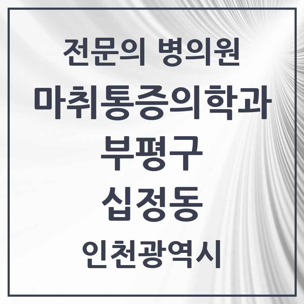 2025 인천광역시 부평구 십정동 마취통증의학과 전문의 의원·병원 목록 1곳