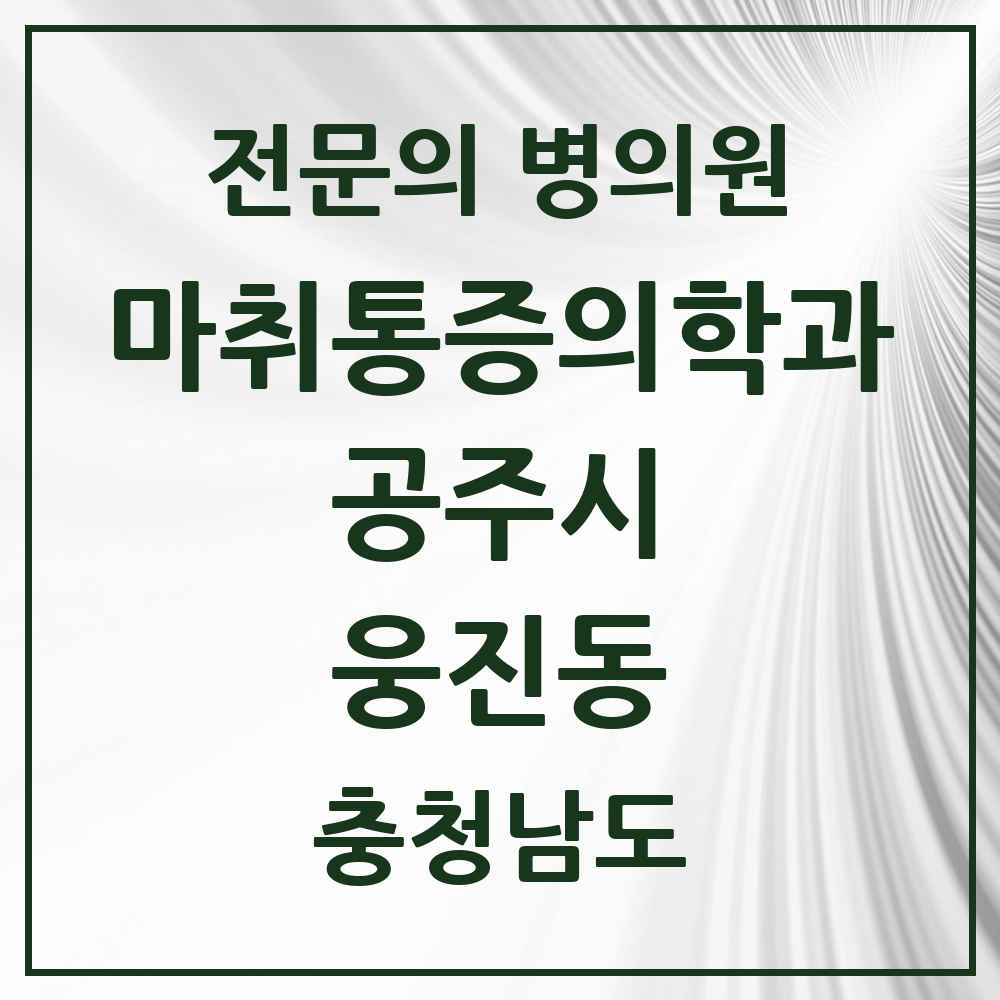 2025 충청남도 공주시 웅진동 마취통증의학과 전문의 의원·병원 목록 1곳