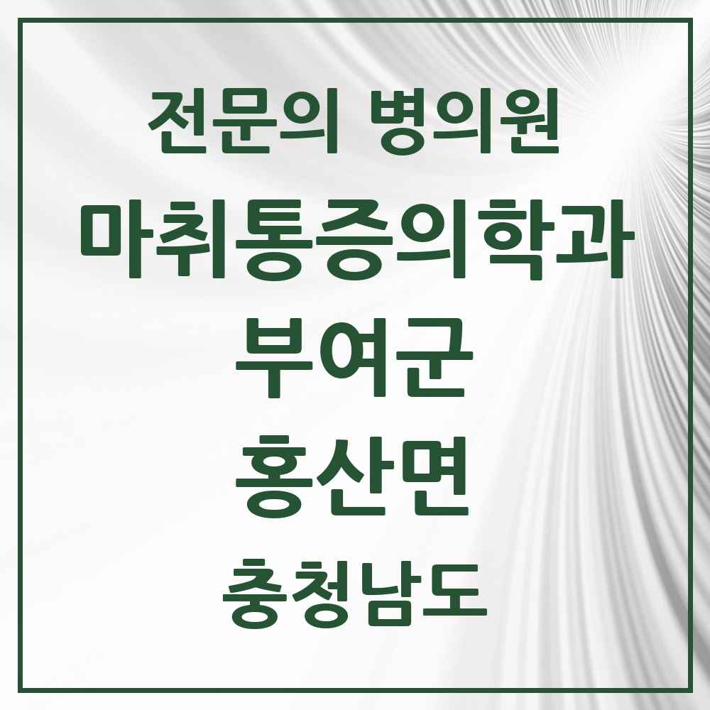 2025 충청남도 부여군 홍산면 마취통증의학과 전문의 의원·병원 목록 1곳