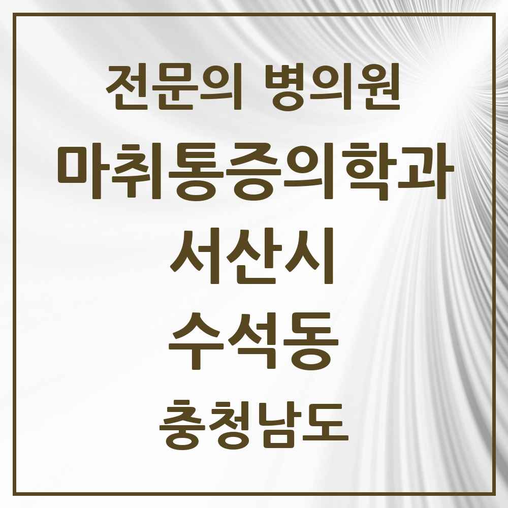 2025 충청남도 서산시 수석동 마취통증의학과 전문의 의원·병원 목록 1곳