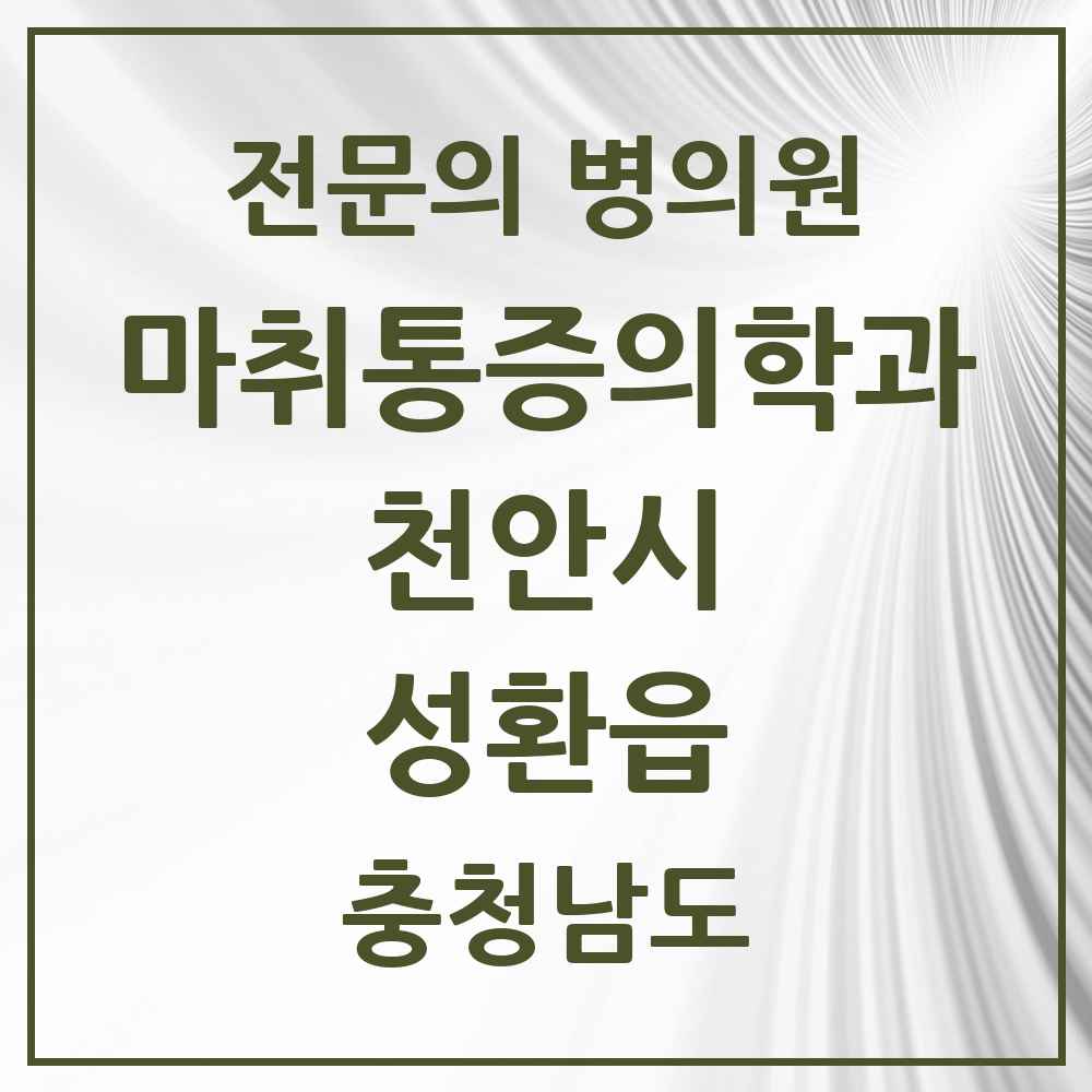 2025 충청남도 천안시 성환읍 마취통증의학과 전문의 의원·병원 목록 2곳