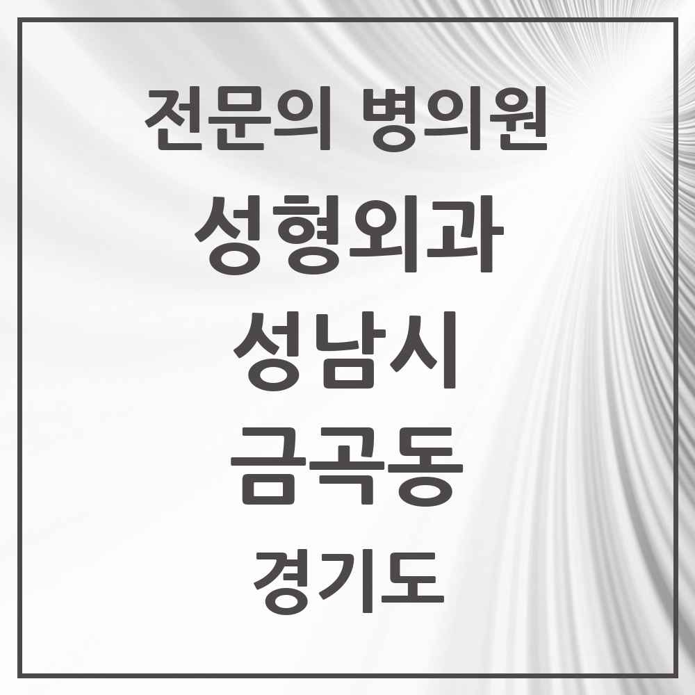 2025 경기도 성남시 금곡동 성형외과 전문의 의원·병원 목록 3곳