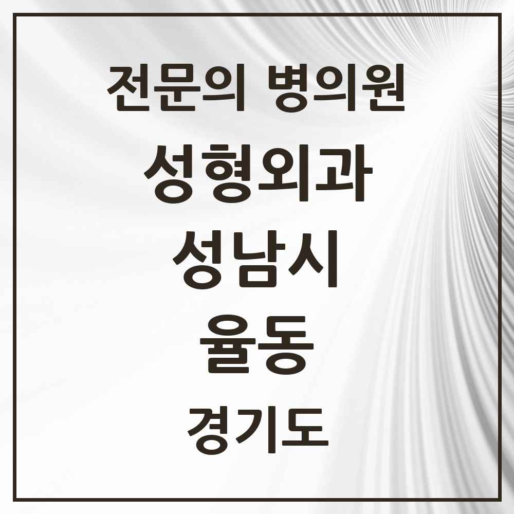 2025 경기도 성남시 율동 성형외과 전문의 의원·병원 목록 1곳