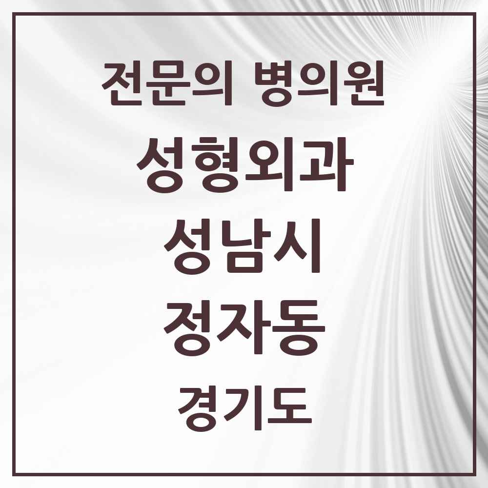 2025 경기도 성남시 정자동 성형외과 전문의 의원·병원 목록 4곳