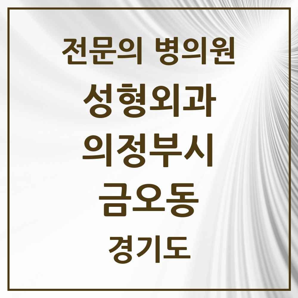 2025 경기도 의정부시 금오동 성형외과 전문의 의원·병원 목록 1곳