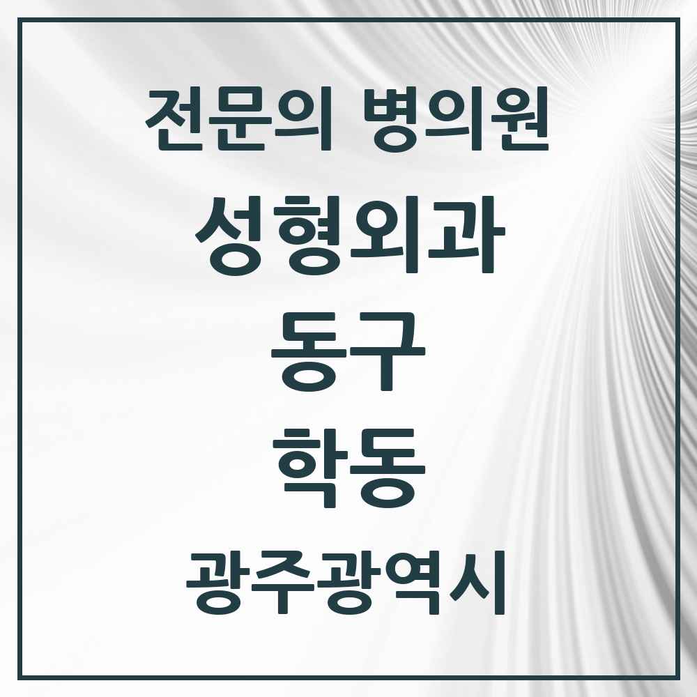 2025 광주광역시 동구 학동 성형외과 전문의 의원·병원 목록 2곳