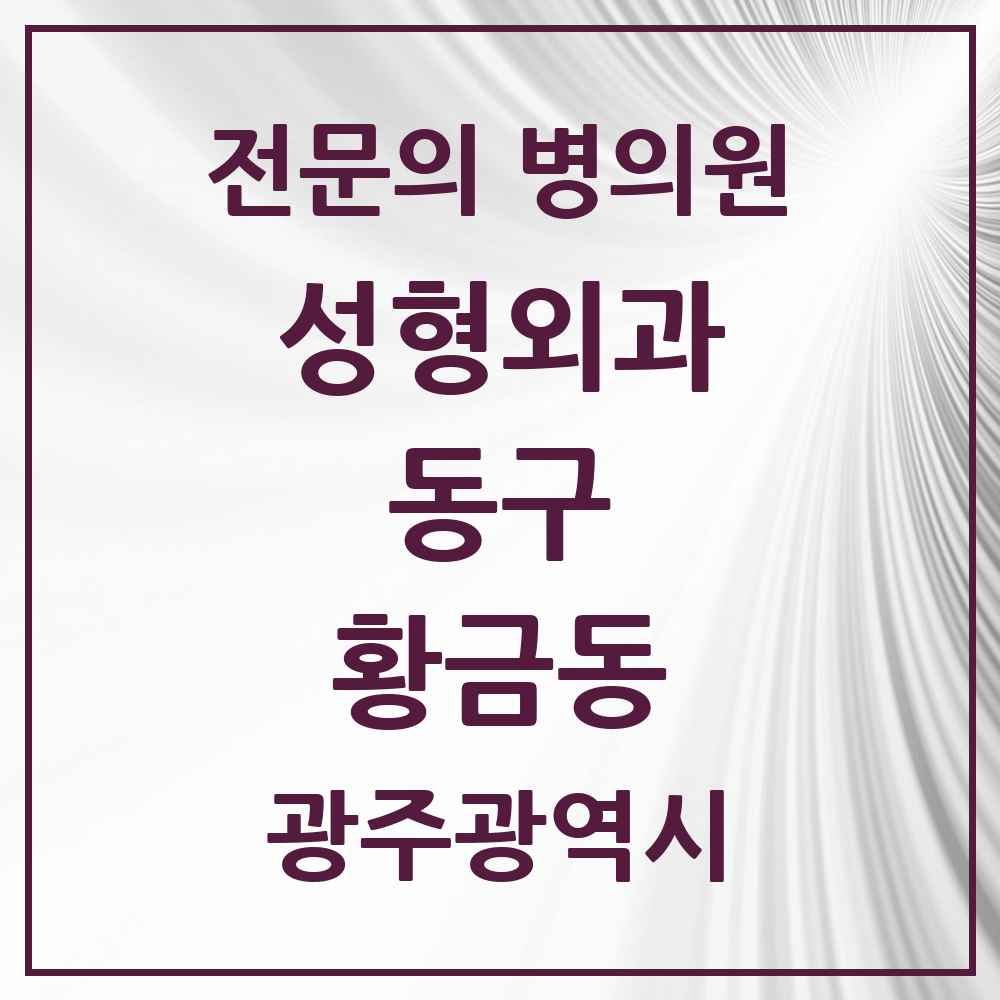 2025 광주광역시 동구 황금동 성형외과 전문의 의원·병원 목록 2곳