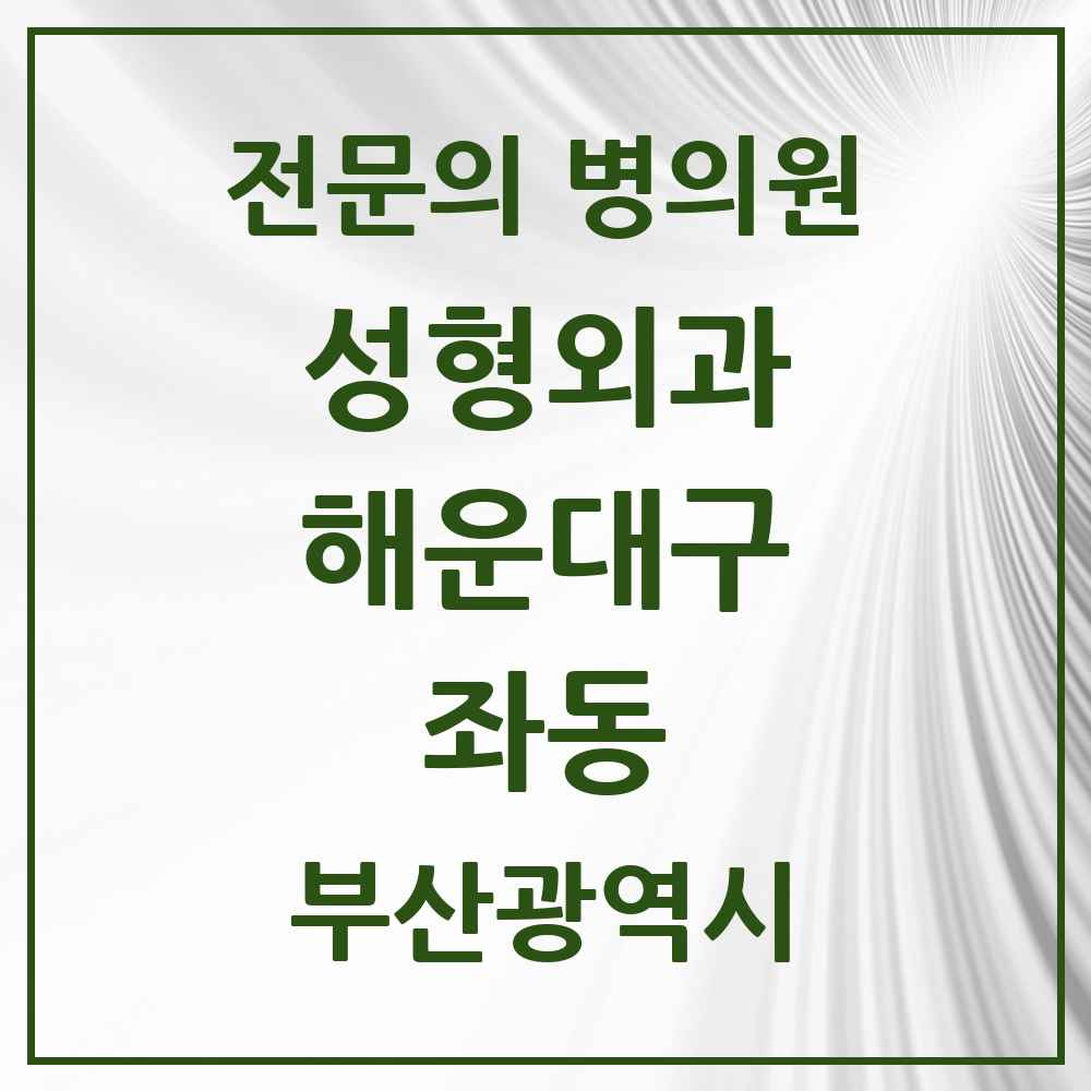 2025 부산광역시 해운대구 좌동 성형외과 전문의 의원·병원 목록 2곳
