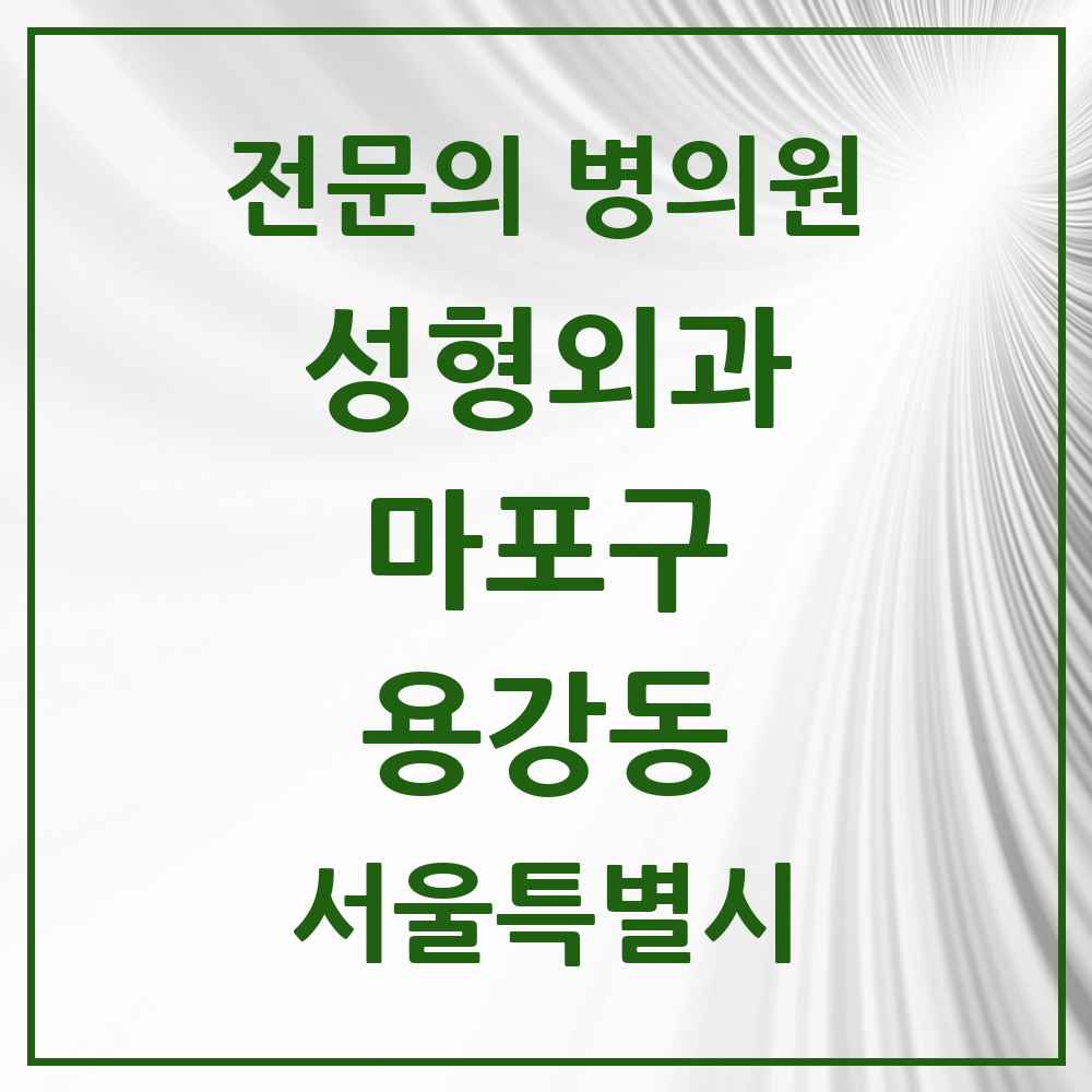 2025 서울특별시 마포구 용강동 성형외과 전문의 의원·병원 목록 1곳
