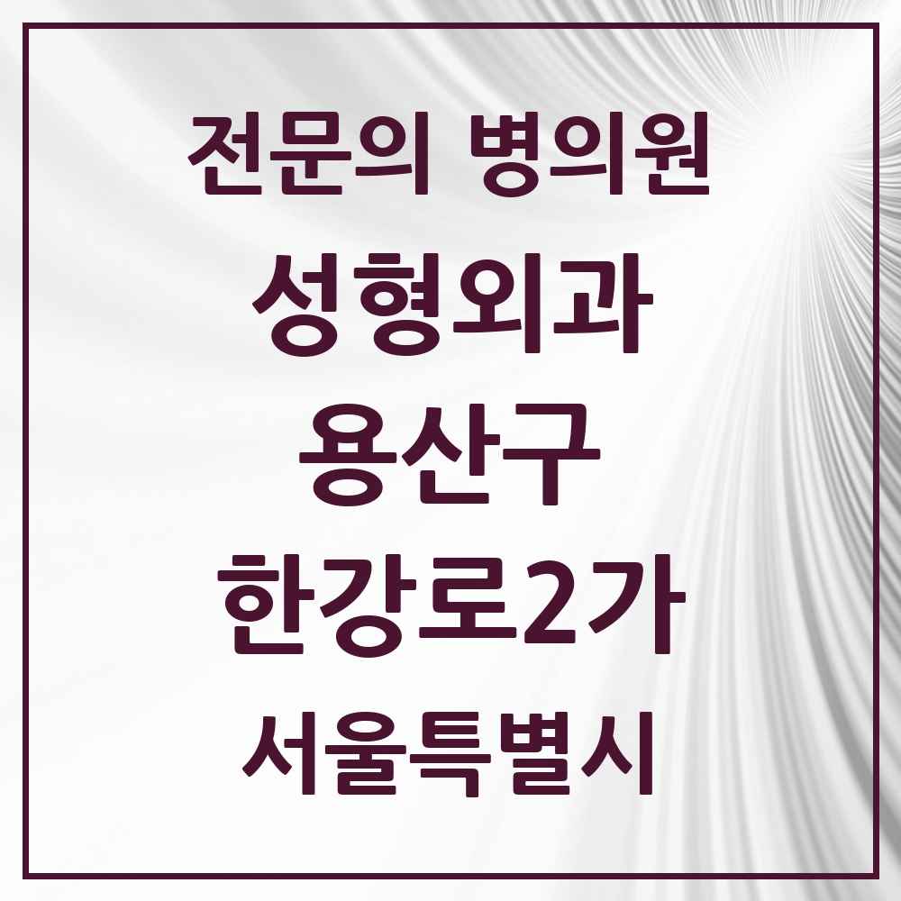 2025 서울특별시 용산구 한강로2가 성형외과 전문의 의원·병원 목록 2곳