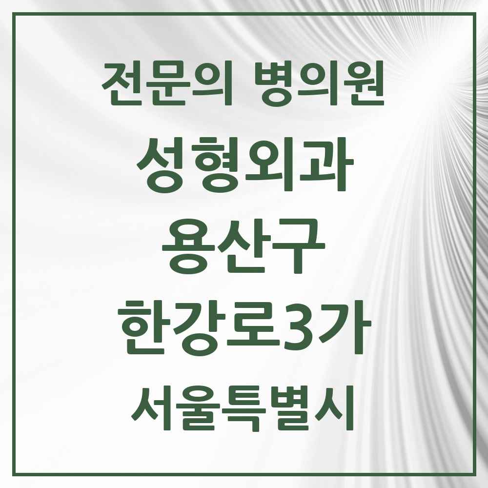 2025 서울특별시 용산구 한강로3가 성형외과 전문의 의원·병원 목록 1곳