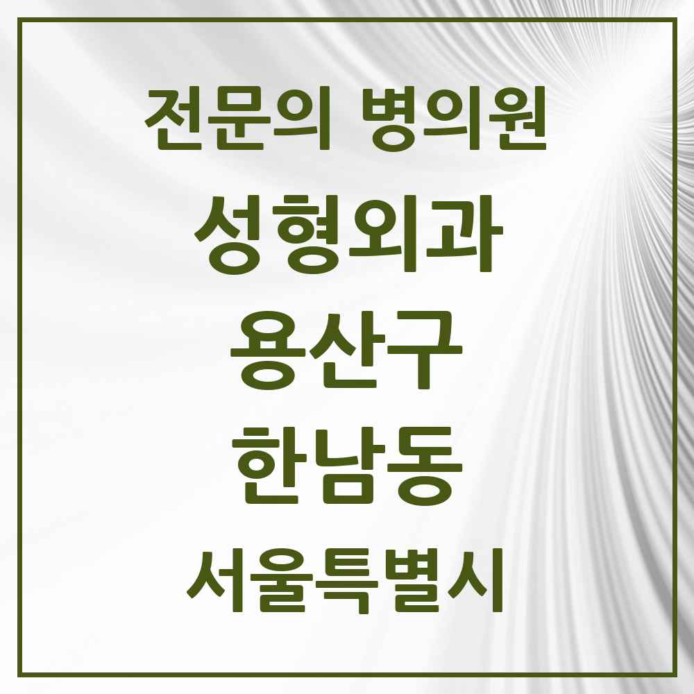 2025 서울특별시 용산구 한남동 성형외과 전문의 의원·병원 목록 2곳