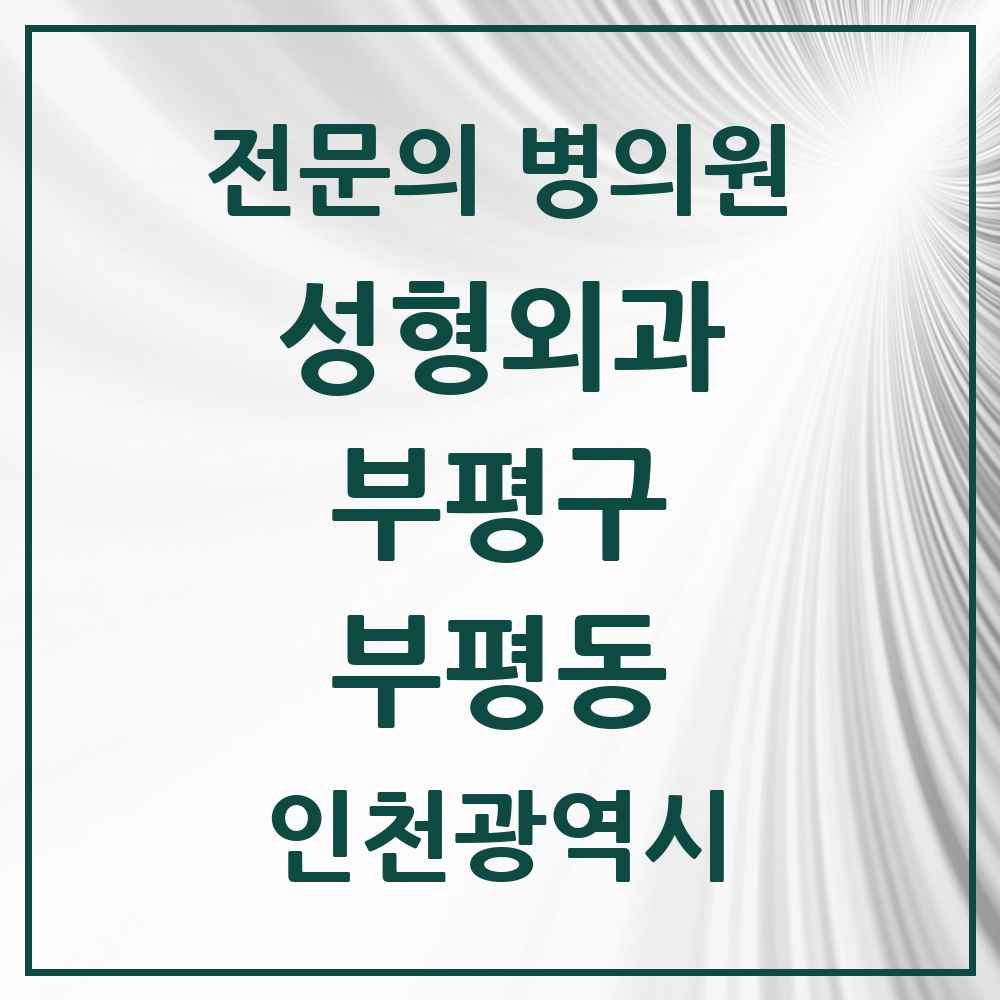 2025 인천광역시 부평구 부평동 성형외과 전문의 의원·병원 목록 10곳