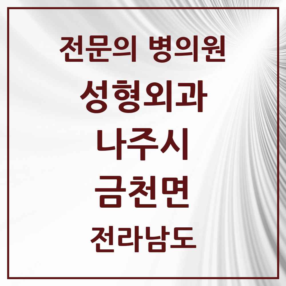 2025 전라남도 나주시 금천면 성형외과 전문의 의원·병원 목록 1곳
