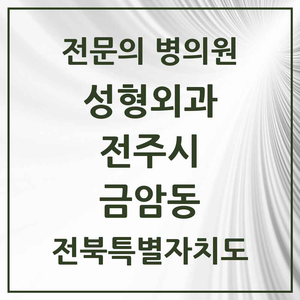 2025 전북특별자치도 전주시 금암동 성형외과 전문의 의원·병원 목록 2곳