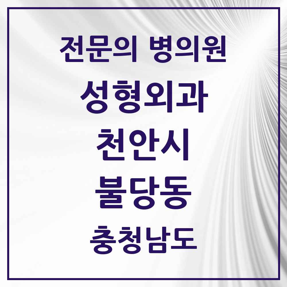 2025 충청남도 천안시 불당동 성형외과 전문의 의원·병원 목록 1곳
