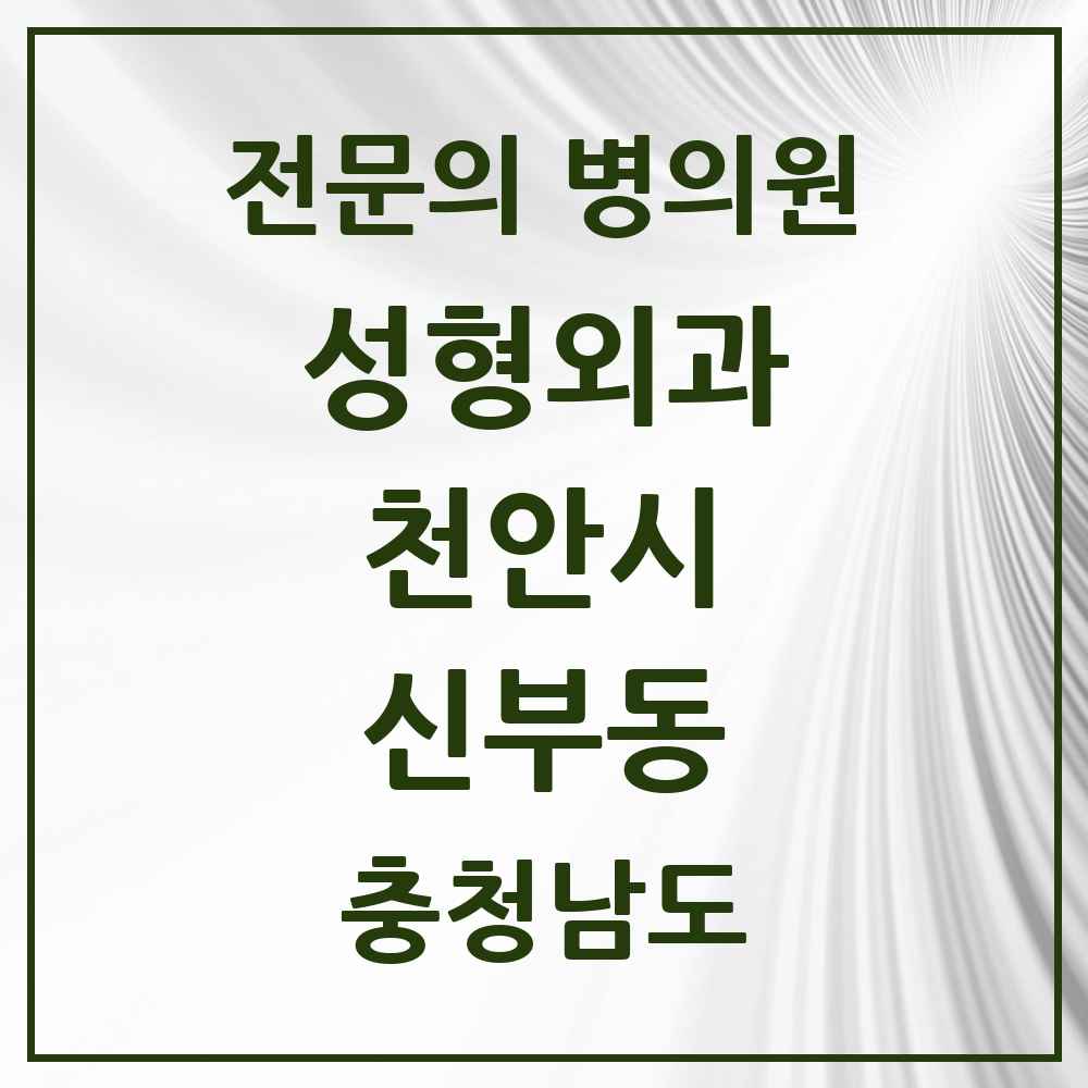 2025 충청남도 천안시 신부동 성형외과 전문의 의원·병원 목록 5곳
