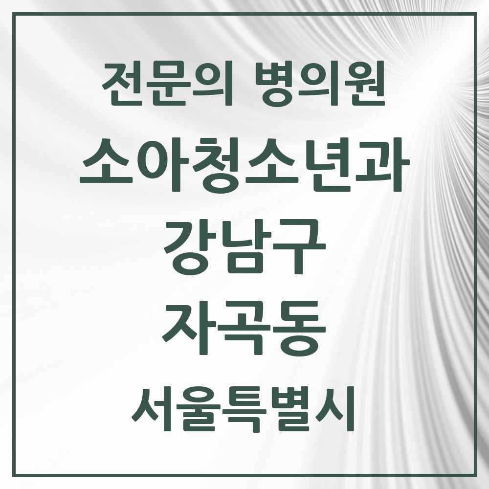 2025 서울특별시 강남구 자곡동 소아청소년과 소아과 전문의 의원·병원 목록 1곳