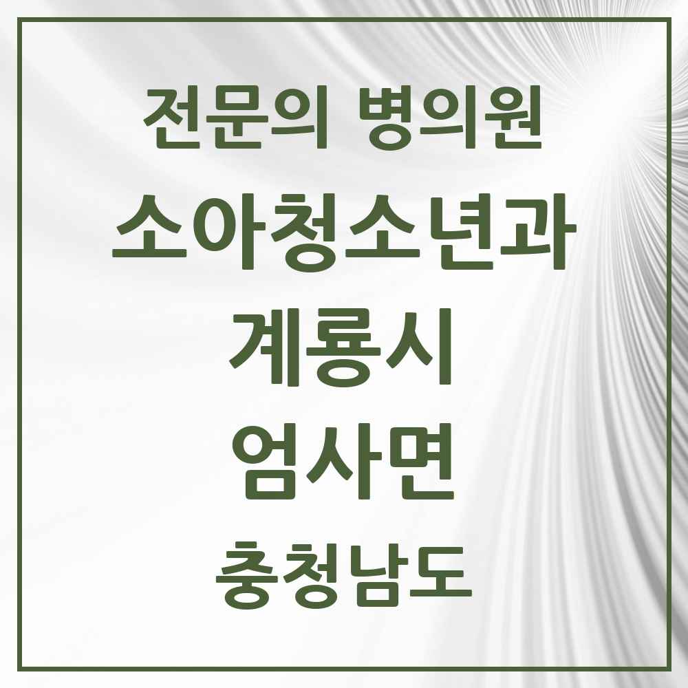 2025 충청남도 계룡시 엄사면 소아청소년과 소아과 전문의 의원·병원 목록 1곳