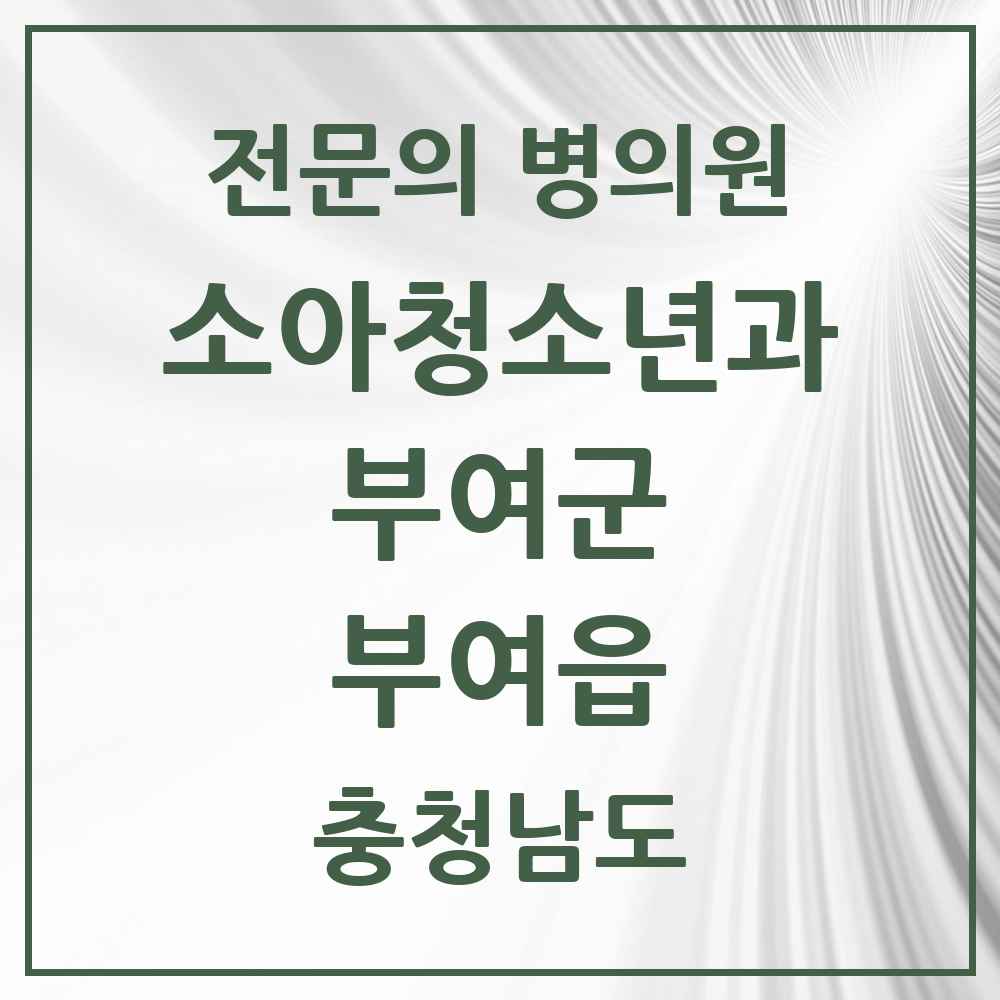 2025 충청남도 부여군 부여읍 소아청소년과 소아과 전문의 의원·병원 목록 1곳