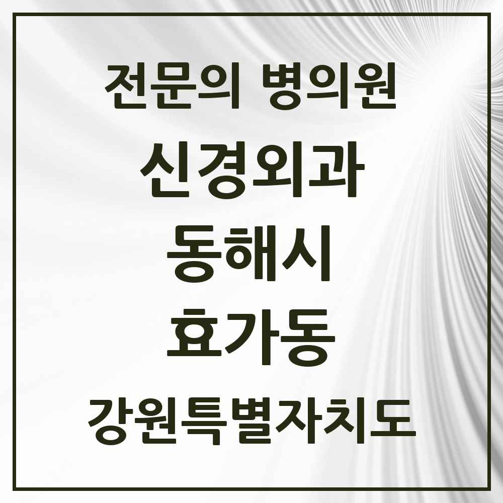 2025 강원특별자치도 동해시 효가동 신경외과 전문의 의원·병원 목록 1곳