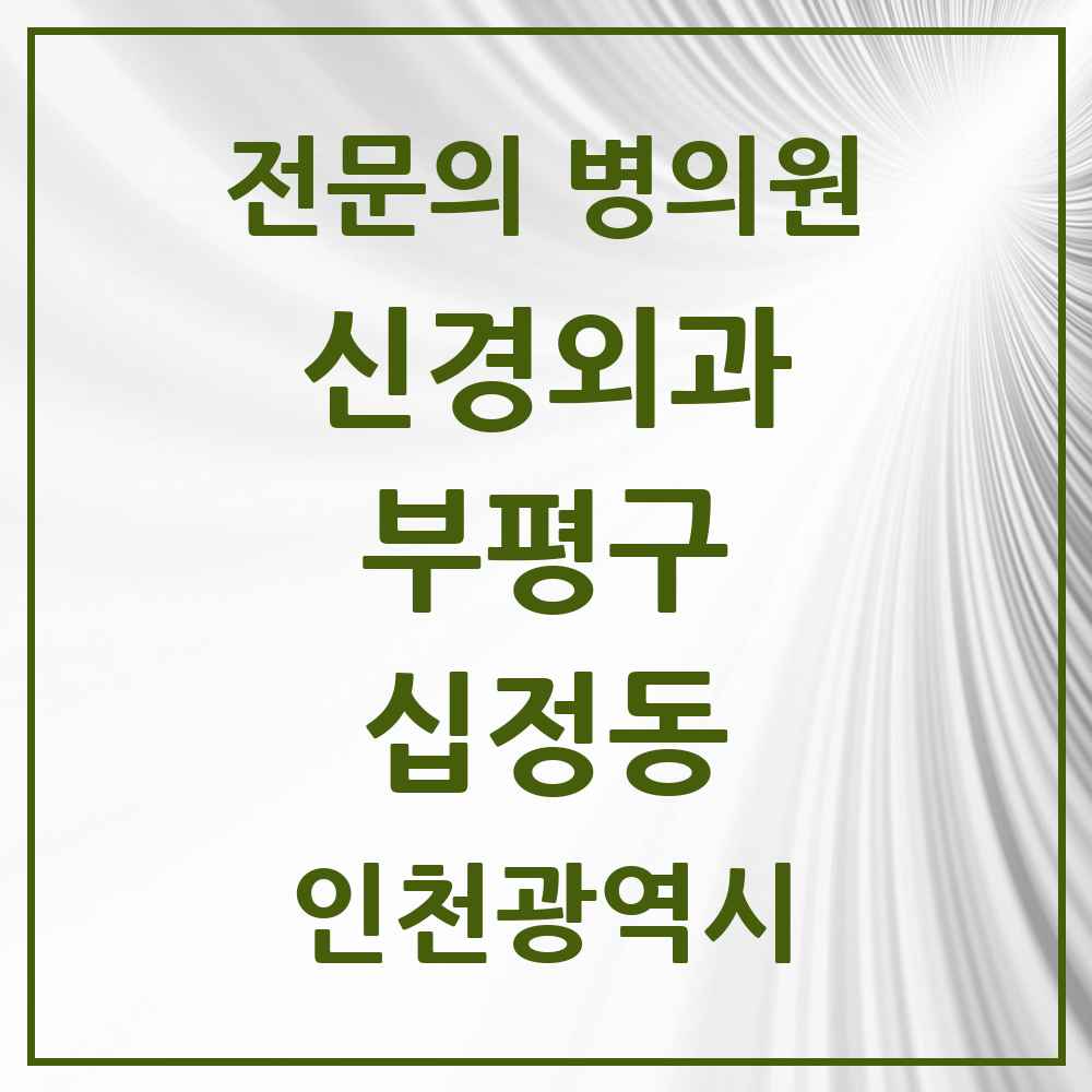 2025 인천광역시 부평구 십정동 신경외과 전문의 의원·병원 목록 1곳