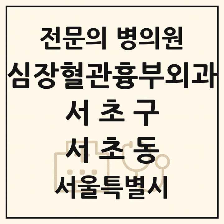 2026 서울특별시 서초구 서초동 심장혈관흉부외과 전문의 의원·병원 목록 2곳