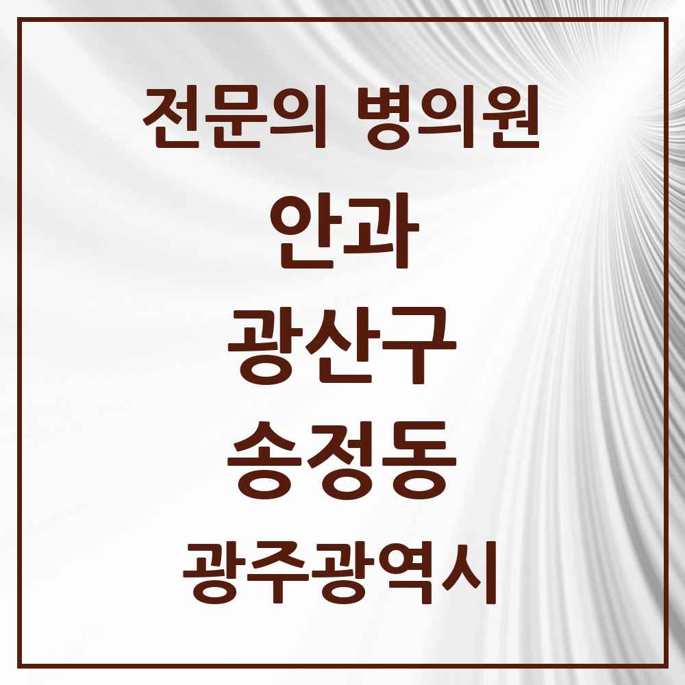 2025 광주광역시 광산구 송정동 안과 전문의 의원·병원 목록 1곳
