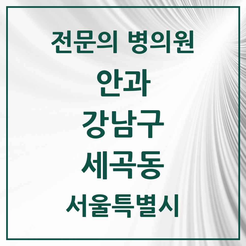 2025 서울특별시 강남구 세곡동 안과 전문의 의원·병원 목록 1곳
