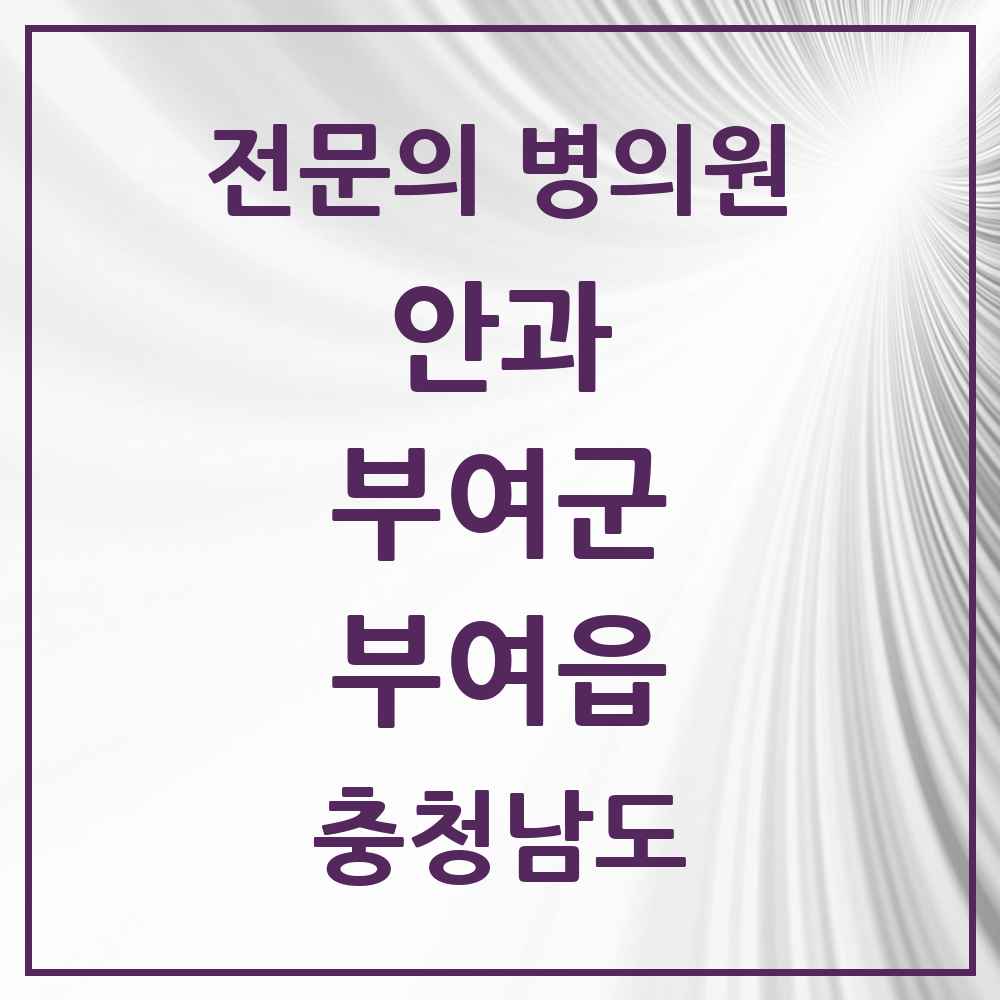 2025 충청남도 부여군 부여읍 안과 전문의 의원·병원 목록 1곳