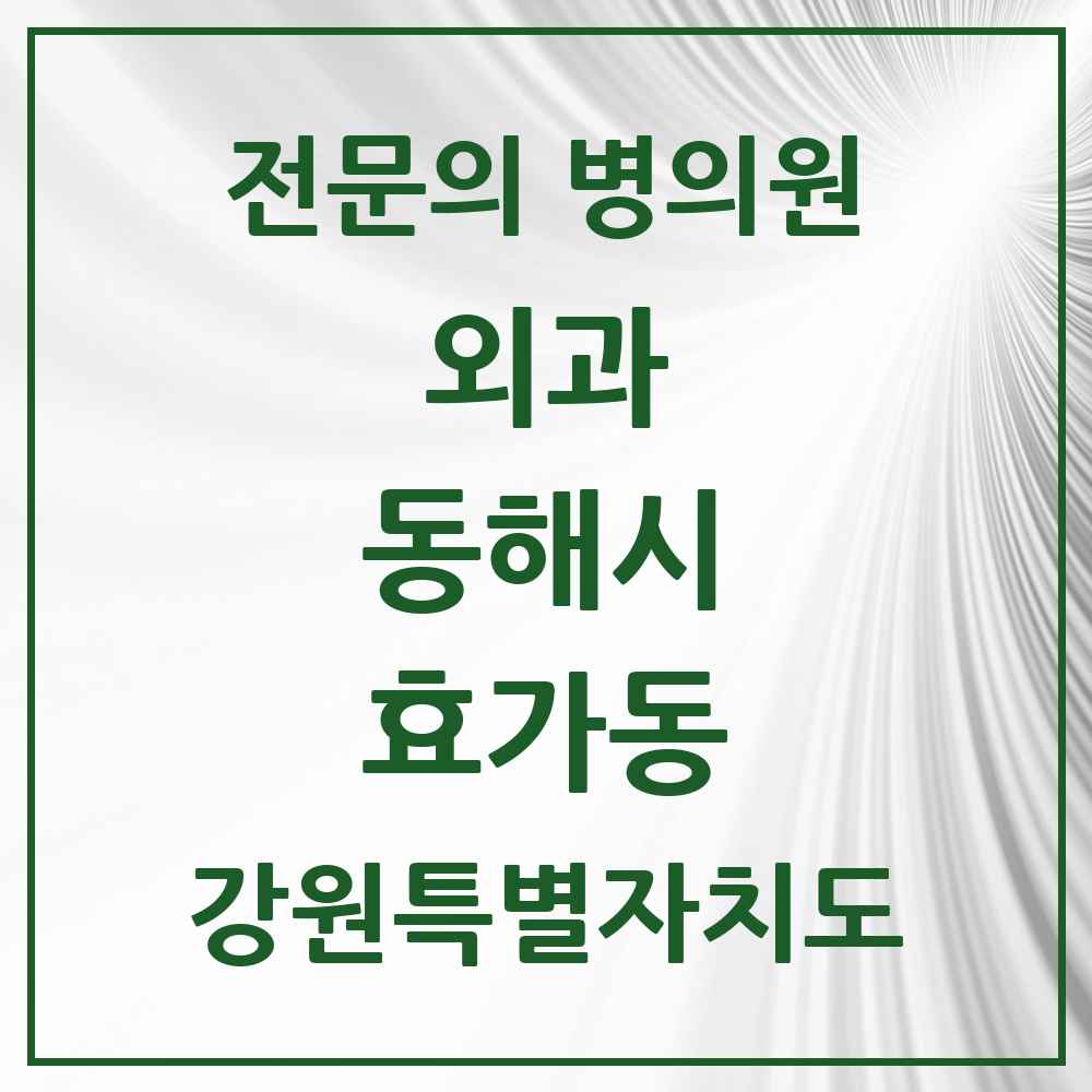 2025 강원특별자치도 동해시 효가동 외과 전문의 의원·병원 목록 2곳