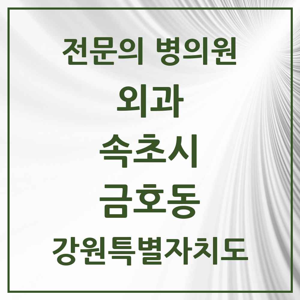 2025 강원특별자치도 속초시 금호동 외과 전문의 의원·병원 목록 1곳