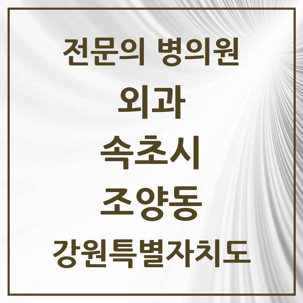 2025 강원특별자치도 속초시 조양동 외과 전문의 의원·병원 목록 2곳