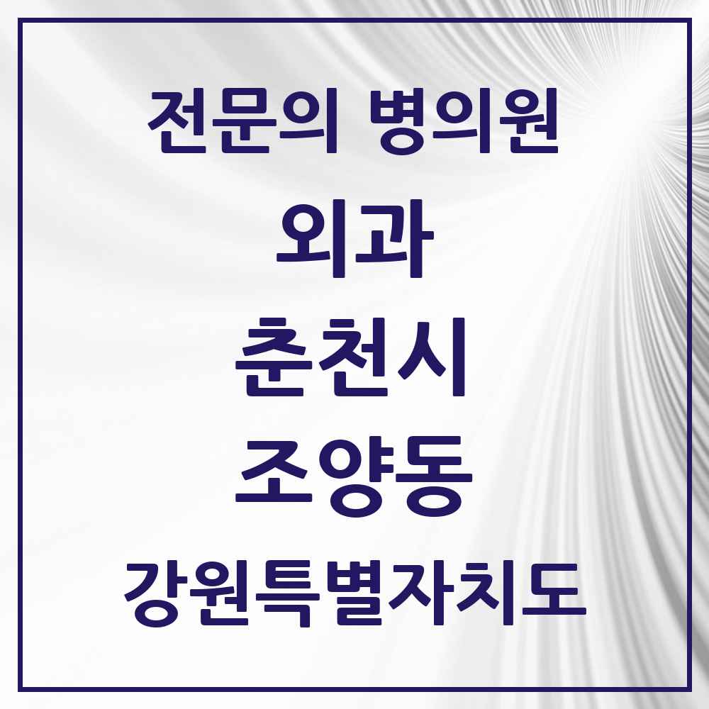 2025 강원특별자치도 춘천시 조양동 외과 전문의 의원·병원 목록 1곳