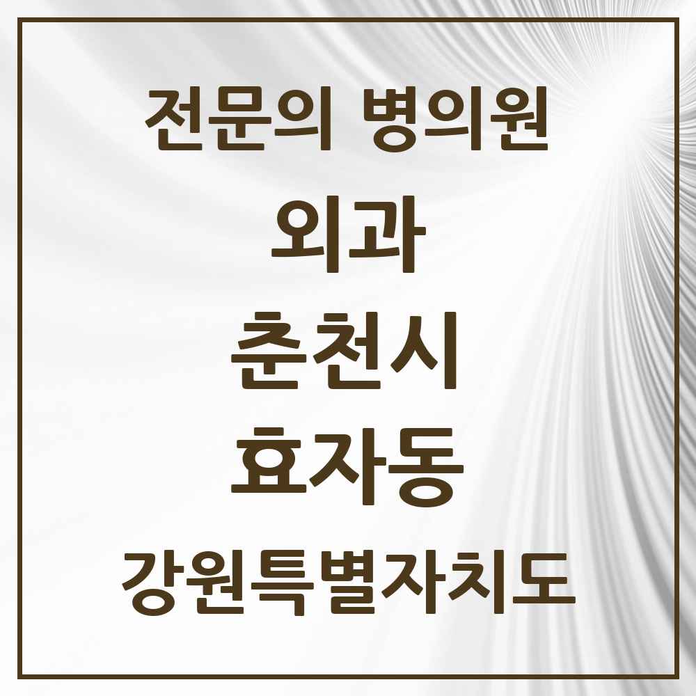 2025 강원특별자치도 춘천시 효자동 외과 전문의 의원·병원 목록 4곳