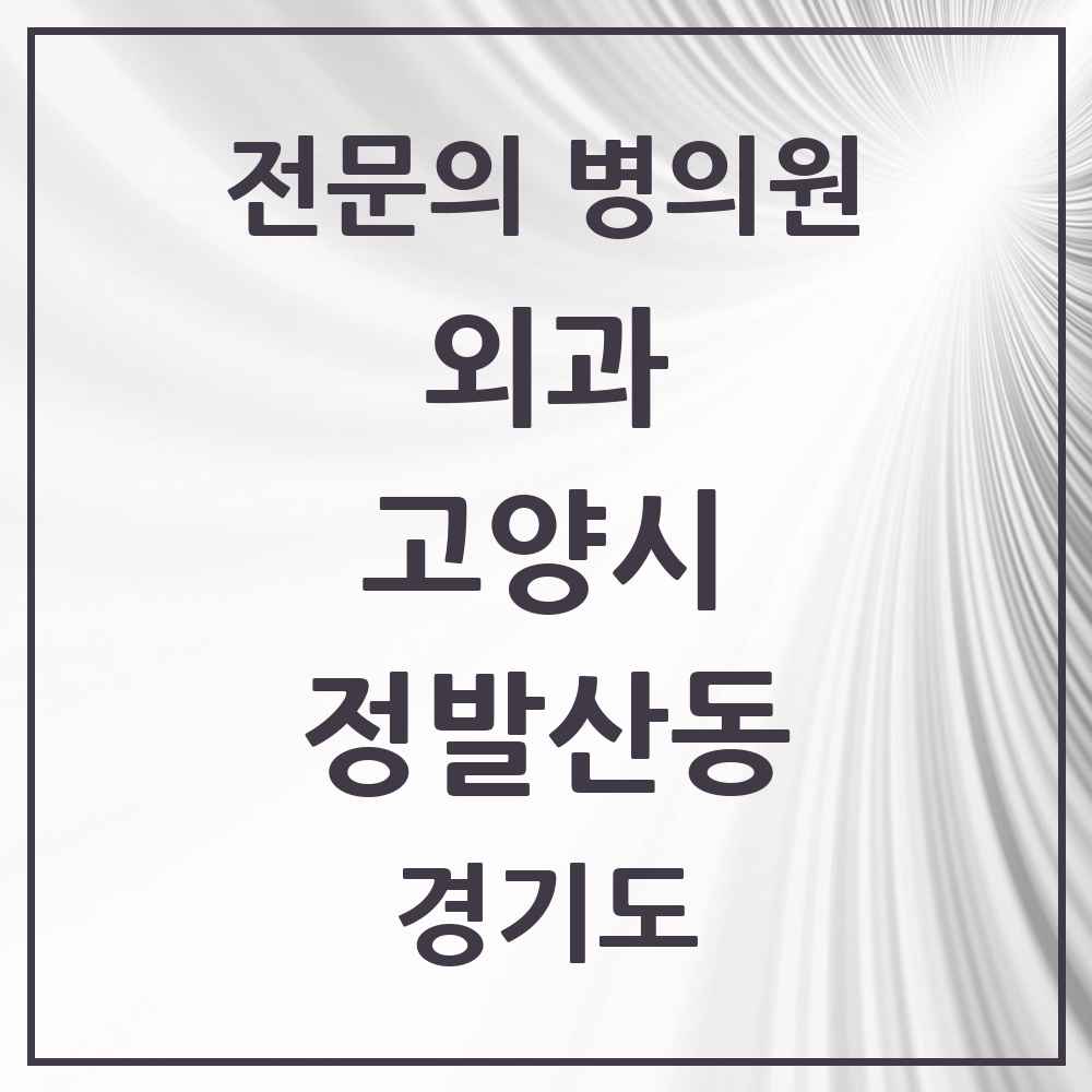 2025 경기도 고양시 정발산동 외과 전문의 의원·병원 목록 1곳