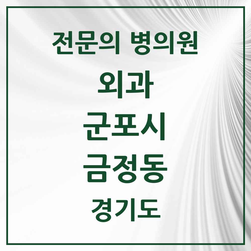 2025 경기도 군포시 금정동 외과 전문의 의원·병원 목록 2곳