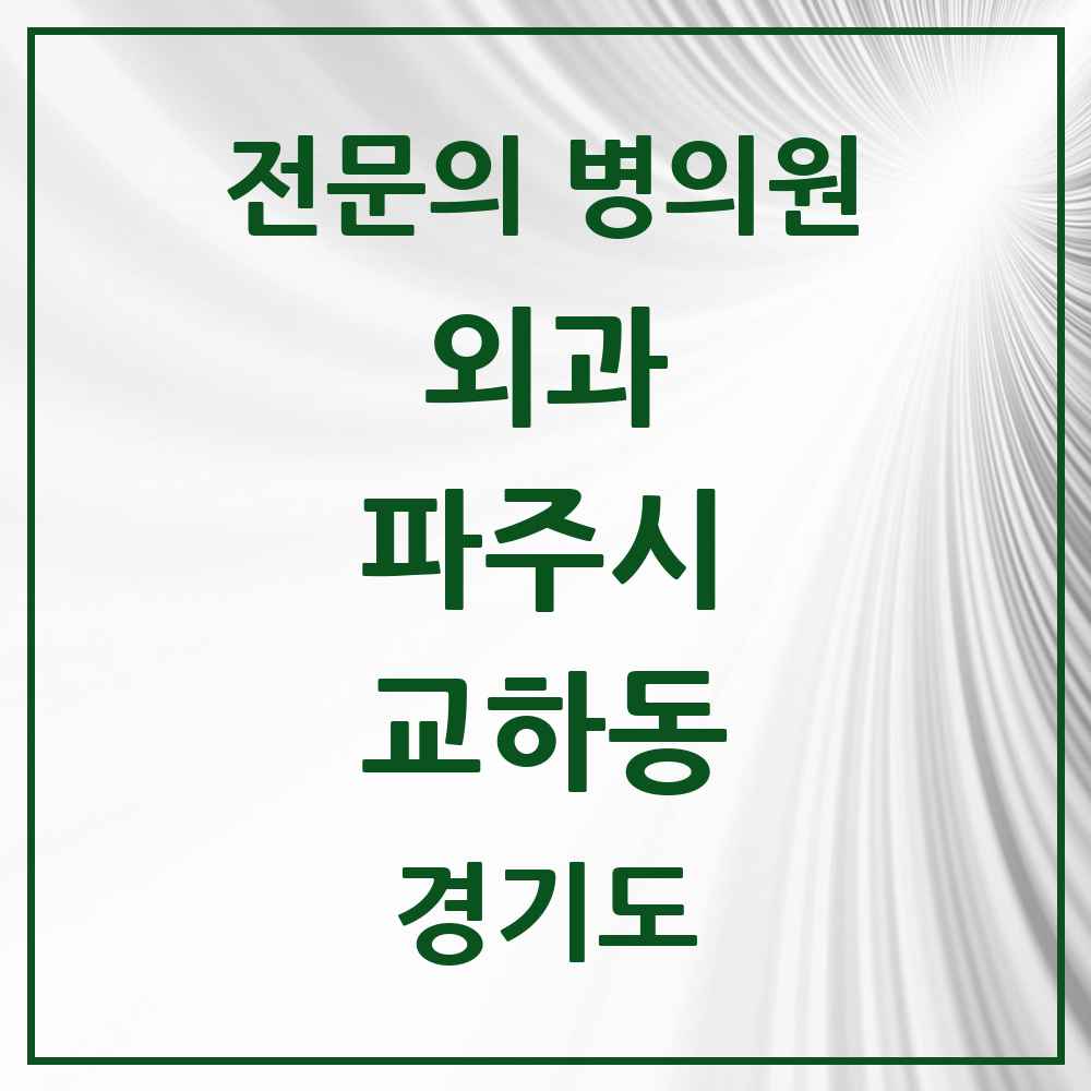 2025 경기도 파주시 교하동 외과 전문의 의원·병원 목록 1곳