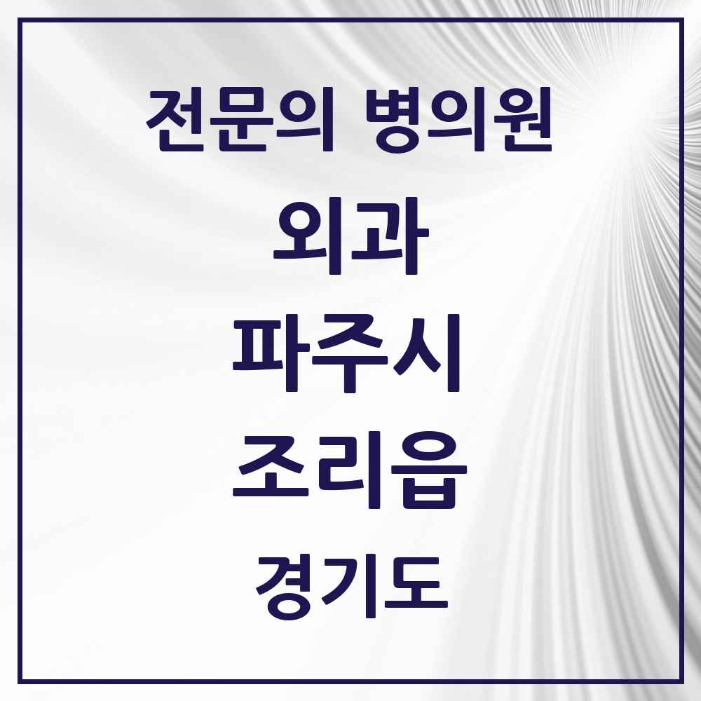 2025 경기도 파주시 조리읍 외과 전문의 의원·병원 목록 1곳