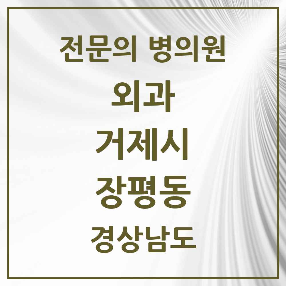 2025 경상남도 거제시 장평동 외과 전문의 의원·병원 목록 1곳