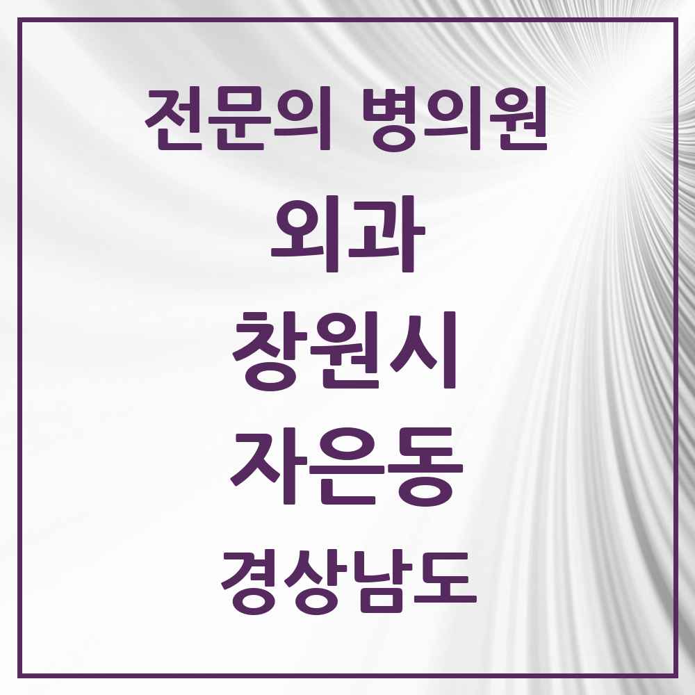 2025 경상남도 창원시 자은동 외과 전문의 의원·병원 목록 1곳