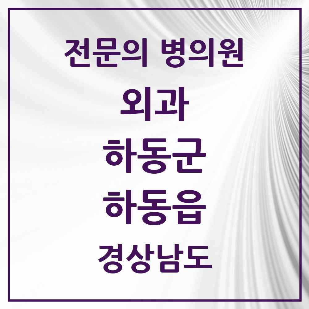 2025 경상남도 하동군 하동읍 외과 전문의 의원·병원 목록 1곳
