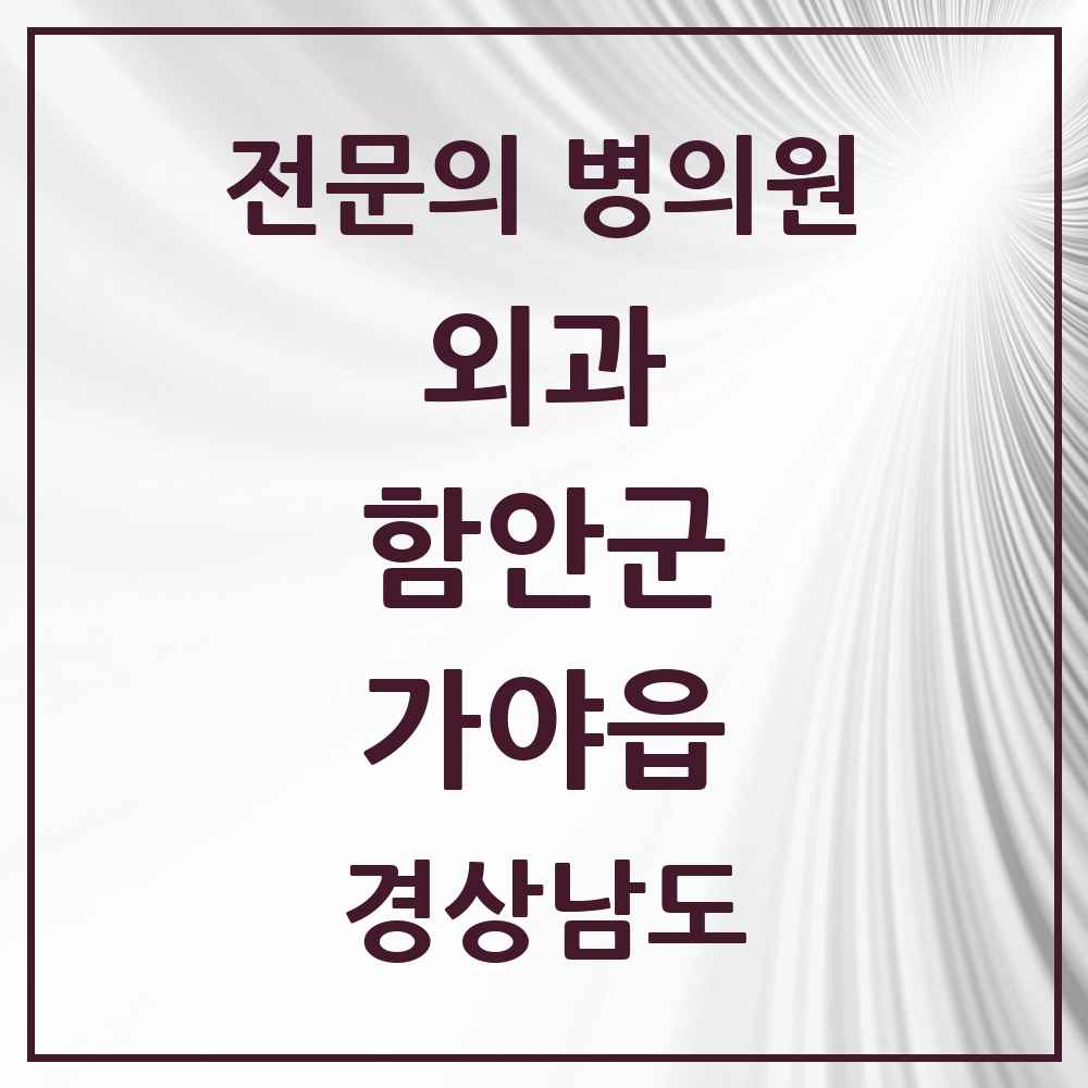 2025 경상남도 함안군 가야읍 외과 전문의 의원·병원 목록 1곳