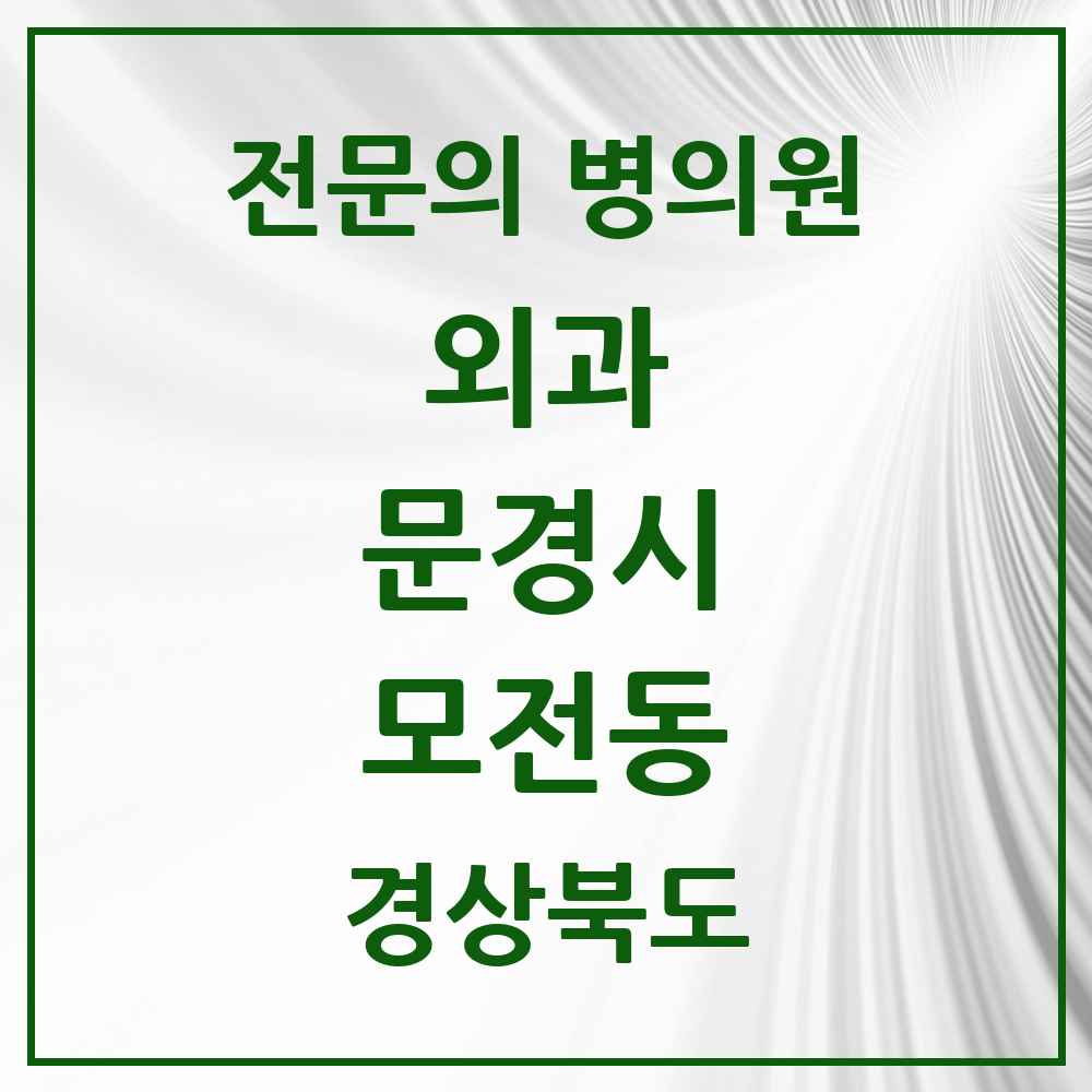 2025 경상북도 문경시 모전동 외과 전문의 의원·병원 목록 1곳