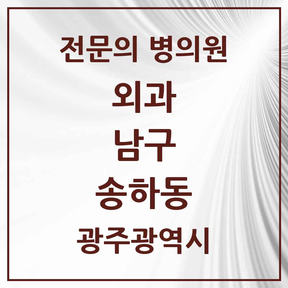 2025 광주광역시 남구 송하동 외과 전문의 의원·병원 목록 1곳