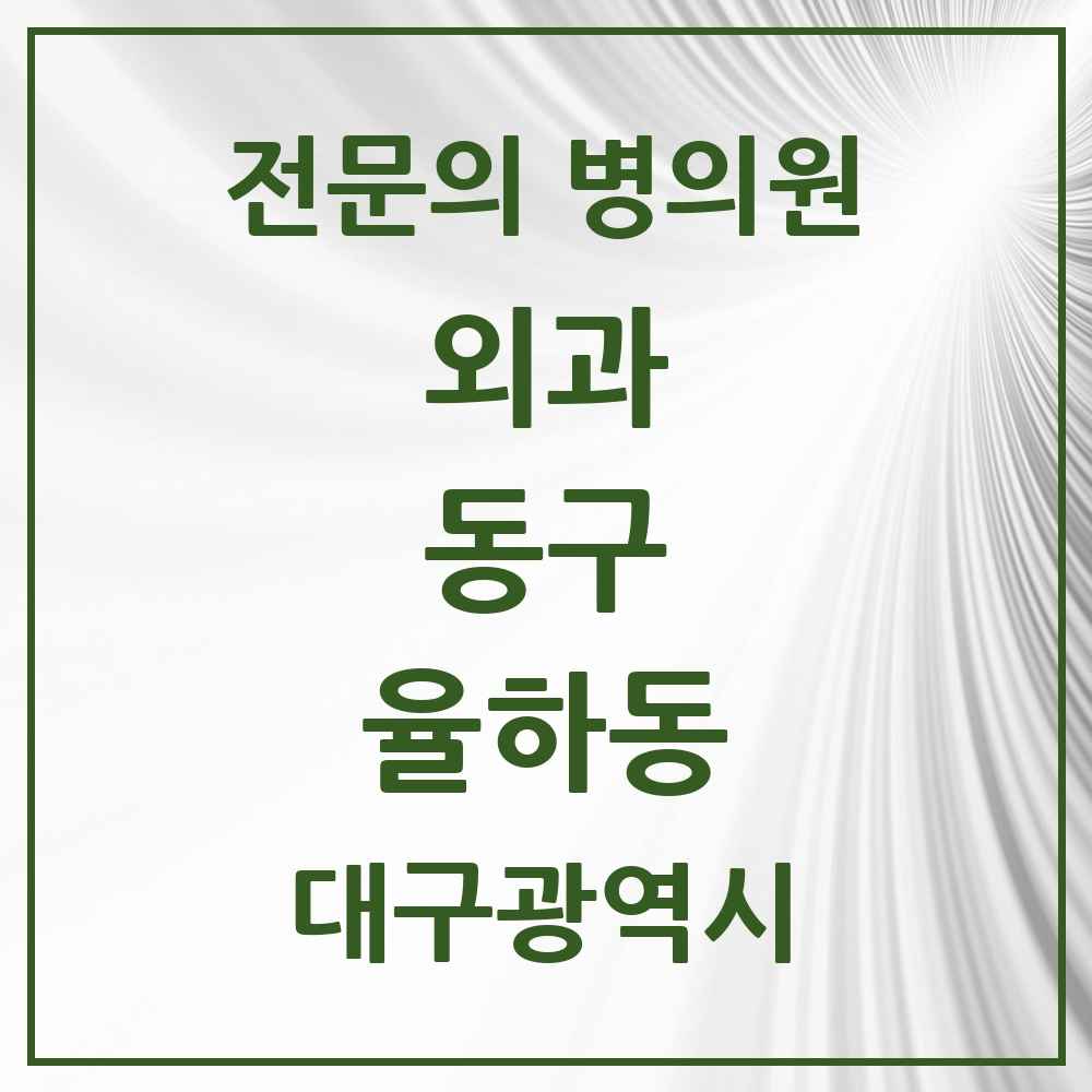 2025 대구광역시 동구 율하동 외과 전문의 의원·병원 목록 3곳