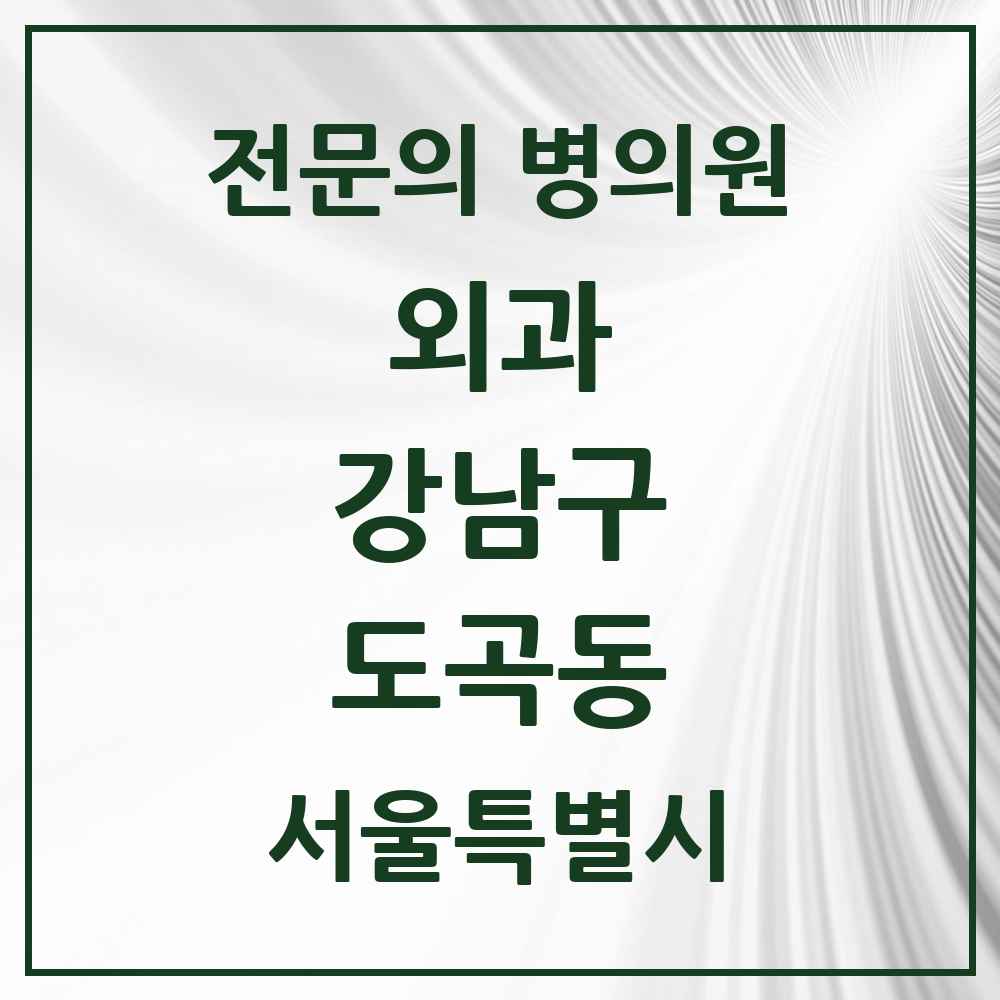 2025 서울특별시 강남구 도곡동 외과 전문의 의원·병원 목록 9곳