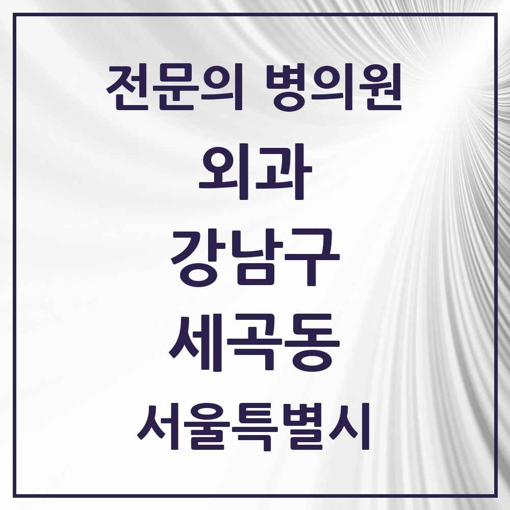 2025 서울특별시 강남구 세곡동 외과 전문의 의원·병원 목록 1곳